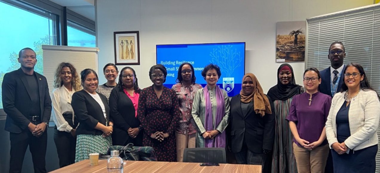 Photo of Prof Asha Kanwar with diplomats from the Permanent Delegation of the Commonwealth to the UN Office, Small States Office.