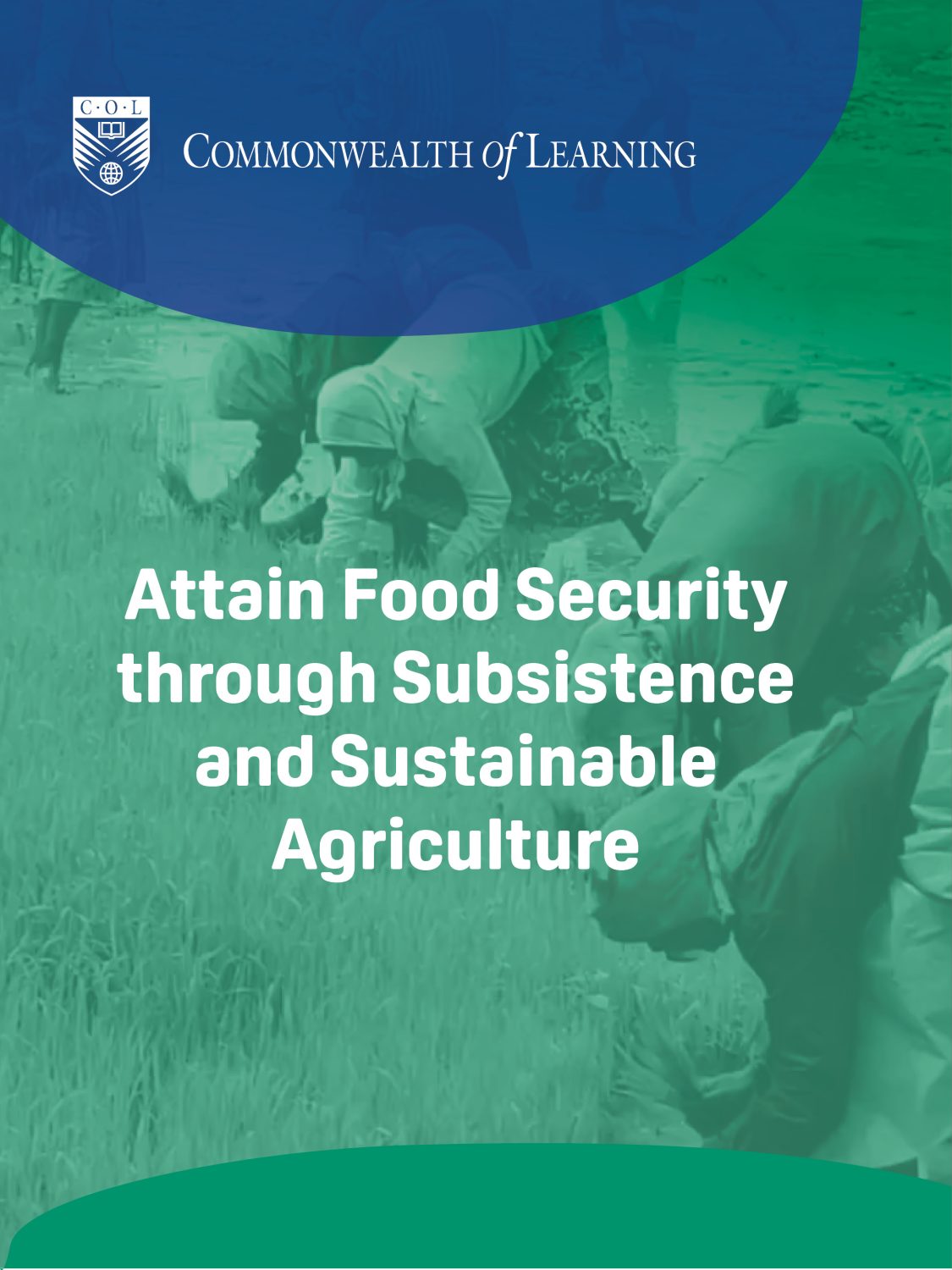 Cover image for Attain Food Security through Subsistence and Sustainable Agriculture
