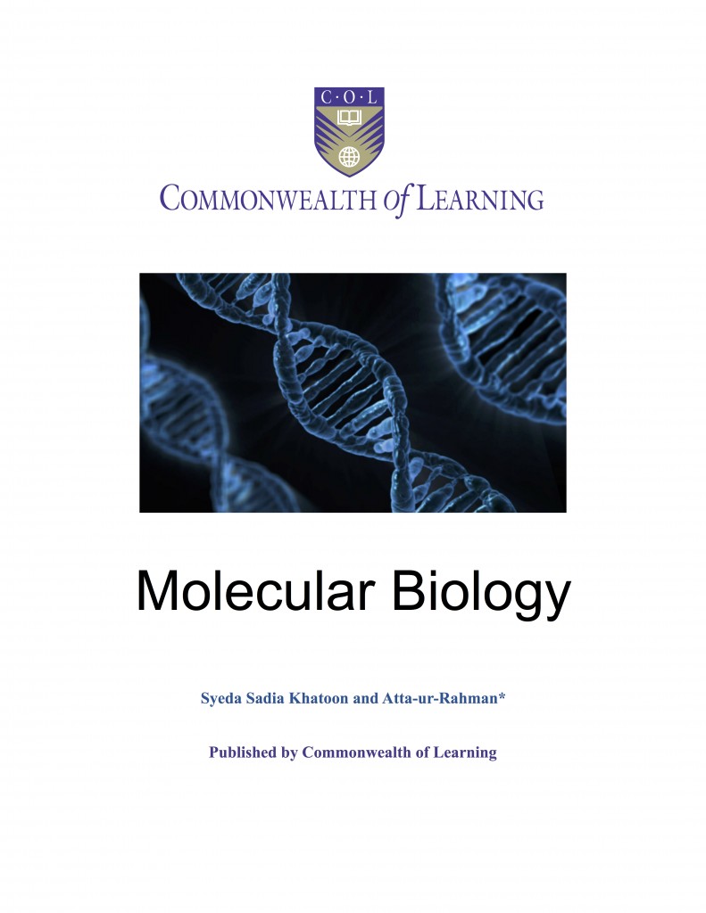 Cover image for Molecular Biology