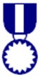badge or medal icon